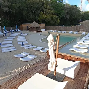 Kawan Nid -studio Cosy A 200m De La Avec Piscine Et Jardin Prive Pour Un Sejour Detente Au Coeur De Marie Galante Appartement